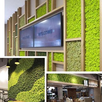 OEM Musgo Eterno, Musgo Verde, Decoraci&oacute;n De Micro Paisajes, Musgo Artificial, Decoraci&oacute;n Verde, Musgo De Reno Preservado, Musgo Decorativo Para Bricolaje