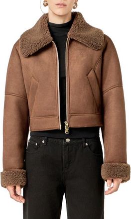 English Factory Faux Shearling Trim Moto Jacket in Brown at Nordstrom, Size X-Small