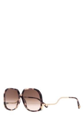Chlo&eacute; Printed Acetate Sunglasses