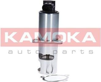 OEM V&aacute;lvula Agr&iacute;cola 19010 Kamoka