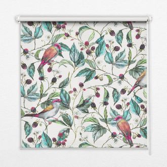 Tulup Tenda A Rullo Interna Per Finestra - Tenda Filtrante Luce - Tenda Privacy - Tenda Decorativa Rettangolare - Rullo Per Interni - (120 Cm X 140 Cm) - Fo