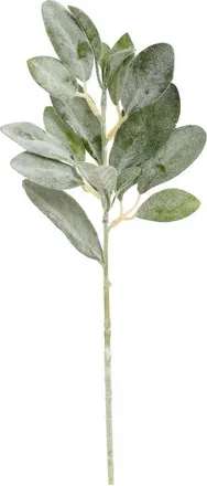 Mark Roberts Lambs Ear Leaf Spray, Small, Set of 12 in Green at Nordstrom