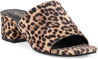 Seychelles Pepper Slide Sandal in Leopard at Nordstrom, Size 6.5