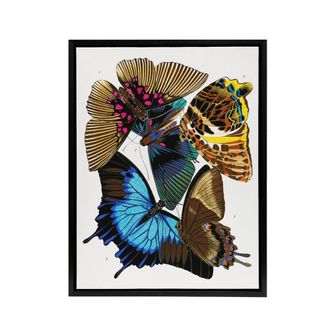 Artery8 Colourful Vintage Butterflies Framed Canvas Wall Art Print Eugene Seguy | Size: W24 x H32