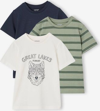 Vertbaudet 3er-Pack T-Shirts Jungen, Recycling-Baumwolle BASIC salbeigr&uuml;n