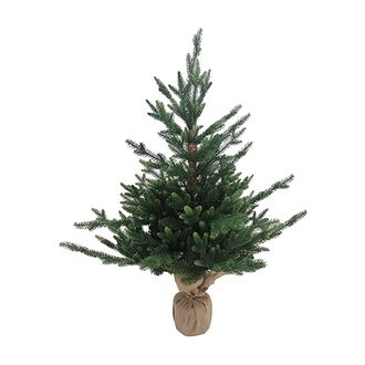 OEM Pinetto victor H. 90 Cm - 466 Rami