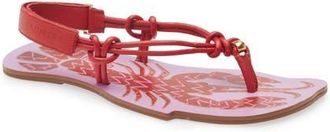 Farm Rio Lobster Slingback Sandal in Scarlet And Lilac at Nordstrom, Size 10