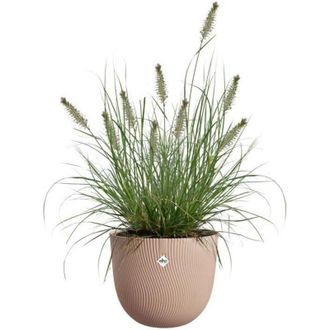 ELHO Maceta - Elho - Sereh Rond 40 - Marr&oacute;n - &Oslash; 39 X H 33 Cm - 100% Reciclado