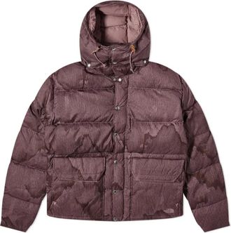 The North Face Heritage 71 Sierra Donsjas - Heren - Ski Jassen - Grijs - L - Polyester - Fitness