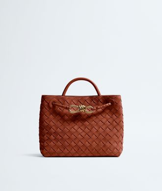 Bottega Veneta Small Andiamo - Brown - Woman - U