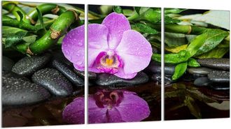 OEM Placa Protectora De Vidrio Para Estufa 3x30x52