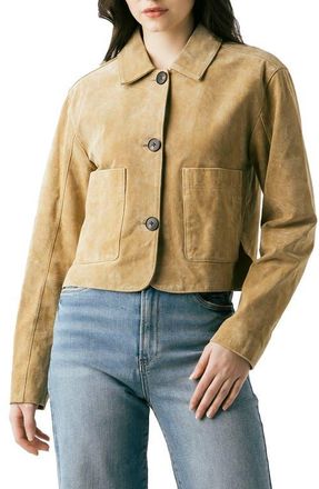 Blank NYC Suede Crop Jacket in Cinnamon Crunch at Nordstrom, Size X-Small
