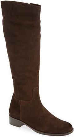 La Canadienne Segal Waterproof Tall Boot in Brunette at Nordstrom Rack, Size 6.5