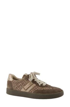 Paul Green Cruz Sneaker in Earth Soft Suede at Nordstrom Rack, Size 10.5Us / 8Uk