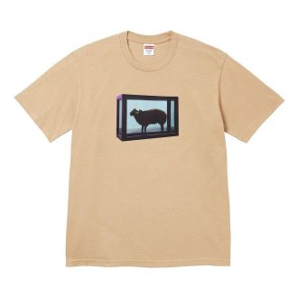 SUPREME x Damien Hirst T-Shirt Khaki SS25T5-KHAKI