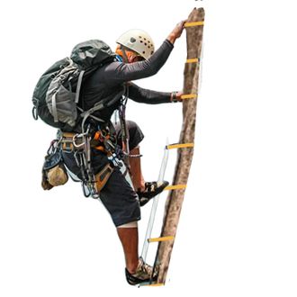 OEM Escalera De Cuerda, 12 M De Largo, Capacidad De Carga De 200 Kg, Peso Ligero De 3,4 Kg, Resina Y Acero Duraderos, Dise&ntilde;o Port&aacute;til