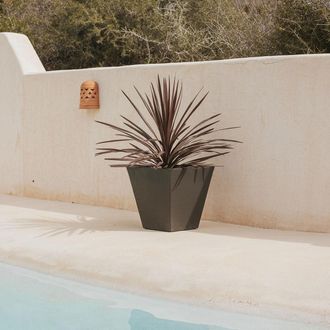 OEM Camomila R&uacute;stica Macetero Cuadrado De Interior Y Exterior Para Plantas Y Flores Muy Resistente Al Paso Del Tiempo. Hecho De Polietileno En Espa&ntilde;a - Ne