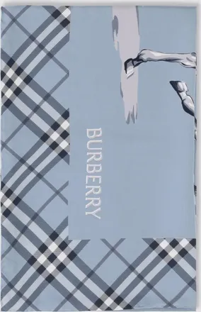 Burberry Sciarpa Uomo colore Blue