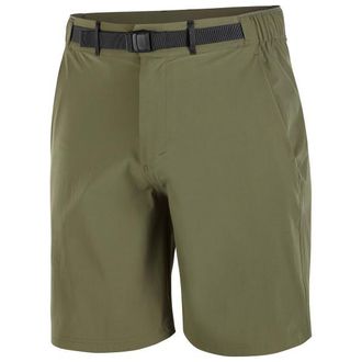 Salomon Wayfarer 2.0 Shorts Shorts f&uuml;r Herren | oliv