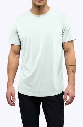 Cuts AO Curve Hem Cotton Blend T-Shirt in Diaphonous at Nordstrom, Size X-Large R