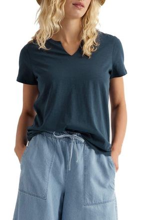 Seasalt Cornwall Kellow V-Neck Organic Cotton T-Shirt in Maritime at Nordstrom, Size 14 Us