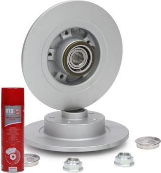 OEM Discos De Freno Con Rodamiento Trasero 2401110180bpr-pcs-ms 2 Uds