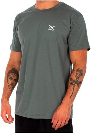 Iriedaily Chestflag Tee T-Shirt f&uuml;r Herren | grau