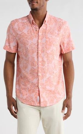 Original Penguin Print Short Sleeve Button-Up Shirt in Peach Amber at Nordstrom Rack, Size Xx-Large