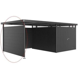 BIOHORT Parete laterale per tetto laterale casetta HighLine H5 grigio scuro metallizzato