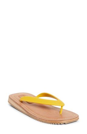 Miu Miu Flip Flop in Gallo at Nordstrom, Size 11Us