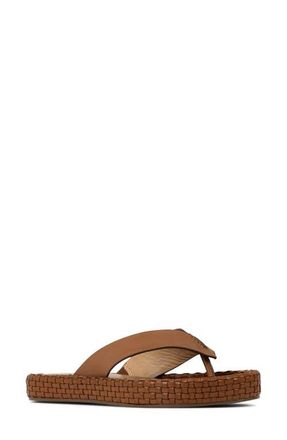 Donald J Pliner Dasara Platform Flip Flop in Tobacco at Nordstrom, Size 6.5