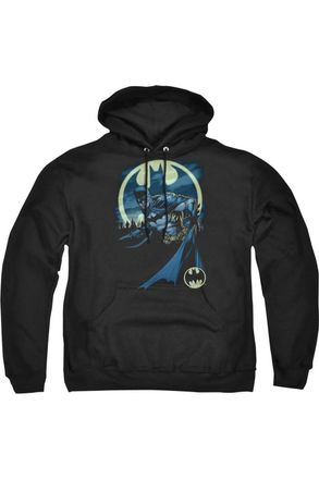 Gildan Batman Heed The Call Adult Pull Over Hoodie / Hooded Sweatshirt