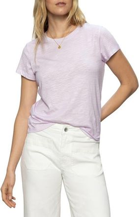 Sanctuary The Perfect T-Shirt in Lavender M at Nordstrom, Size X-Small