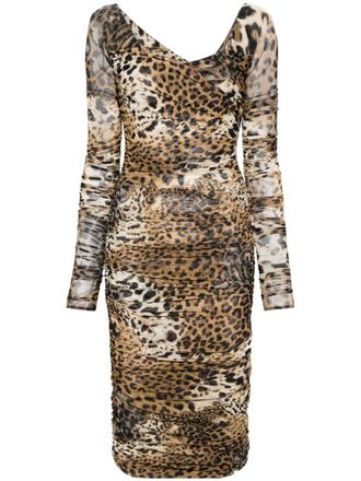 Roberto Cavalli leopard-print mesh midi dress - Neutrals
