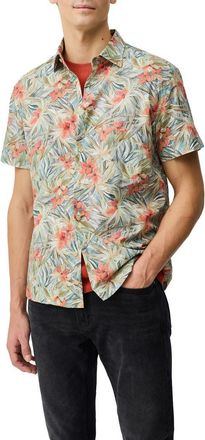Rodd & Gunn Riverina Floral Short Sleeve Button-Up Shirt in Botanical at Nordstrom, Size Xxx-Large