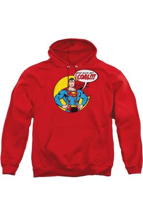 Gildan DC Comics Coal Adult Pull Over Hoodie / Hooded Sweatshirt