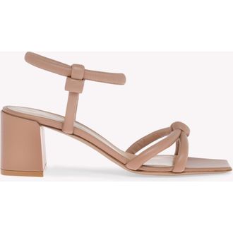 Gianvito Rossi Juno 55 Sandals in Pink Nappa at Nordstrom, Size 34.5