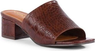 Seychelles Pepper Slide Sandal in Brown at Nordstrom, Size 8.5