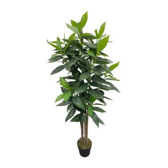 Mobili Rebecca Mobili Rebecca - Planta Artificial De Casia Rebecca Mobili Kori 145x40x40 Peva Madera Verde Marr&oacute;n