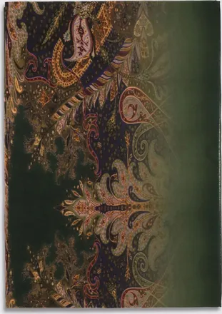 Etro Sciarpa Uomo colore Verde