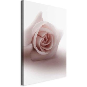 OEM Imagen - Glamour Floral (1 Pieza) - Rosa Delicada Y En Tonos Pastel