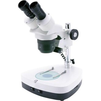 Format Format - Laboratorio 1 Microscopio Hitec
