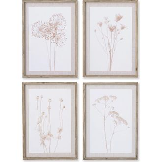 Napa Home & Garden Stylized Botanical Prints Set of 4 in Pink at Nordstrom, Size Medium