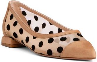 BEAUTIISOLES Blake Pointed Cap Toe Flat in Taupe at Nordstrom, Size 6