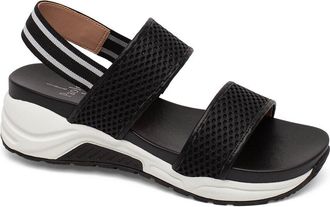 Linea Paolo Ririe-L Mesh Slingback Sandal