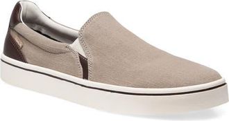 Sanuk Hava-Shoe Slip On in Brindle Multi at Nordstrom, Size 13