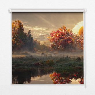 Tulup Tenda A Rullo Interna Per Finestra - Tenda Filtrante Luce - Tenda Privacy - Tenda Decorativa Rettangolare - Rullo Per Interni - (100 Cm X 100 Cm) - Tr