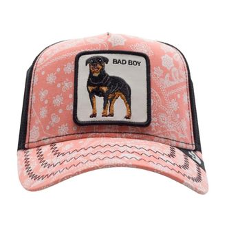 Goorin Brothers Heren, Accessoires, Roze, Maat: ONE Size Katoen