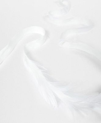 Ann Demeulemeester Zena Cock Feathers on Cotton Ribbon