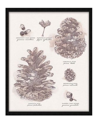 Fairchild Paris Pinecone Study By Kristie Millan Wall Art